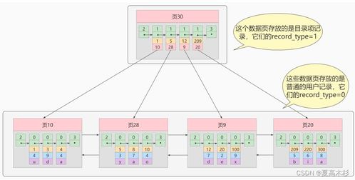 MySQL高级篇 索引数据结构与InnoDB存储结构深度解析